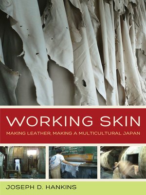 cover image of Working Skin